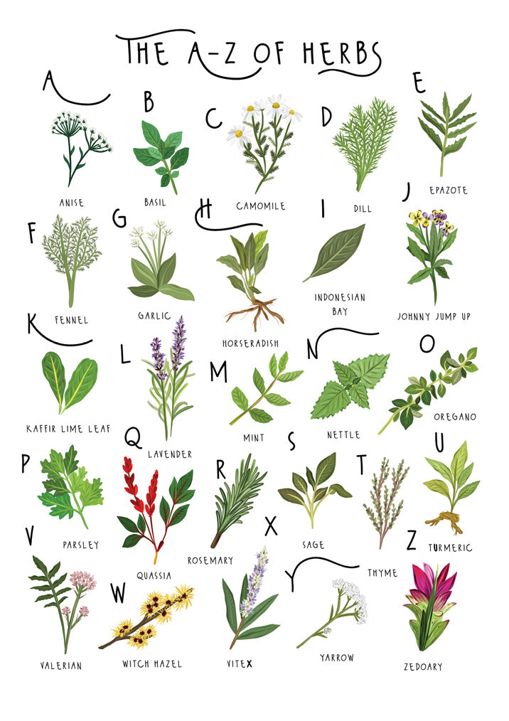 57BB102 - A-Z of Herbs Greeting Card