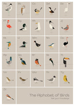 Load image into Gallery viewer, 57MW21 - Alphabet of Birds Greeting Card
