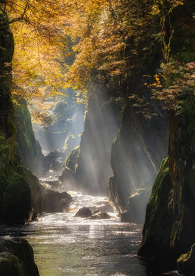 57SM97 - Fairy Glen Greeting Card