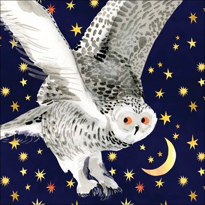 KS114 - Night Owl Greeting Card