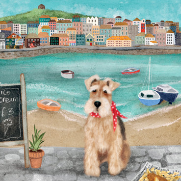 LIA107 - Alfie at St Ives Greeting Card