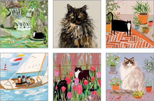NC-DCT501 - The Dancing Cat by Jamie Shelman Notecard Pack (6 designs in 1 pack)