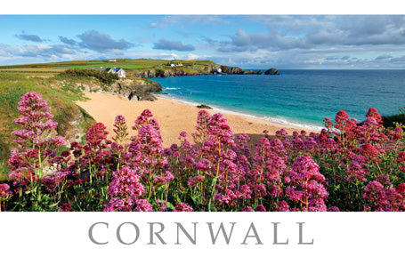 PCC812 - Mother Ivey's Bay Postcard