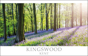 PKT532 - Kingswood near Maidstone Postcard