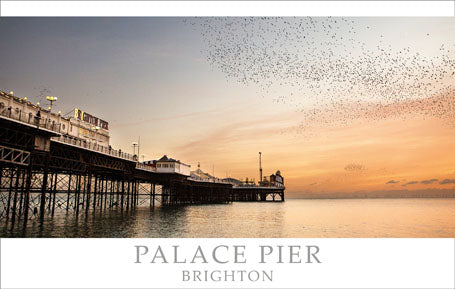 PSX511 - Palace Pier Brighton Postcard