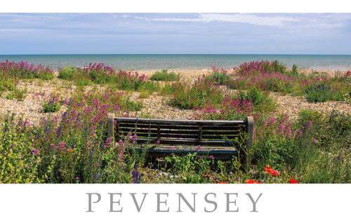 PSX527 - Pevensey Beach East Sussex Postcard