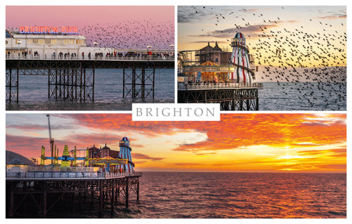 PSX559 - Sunsets and Murmurations Brighton Postcard