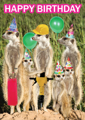 57AP06 - Happy Birthday (Meerkats) Birthday Card (Message inside)