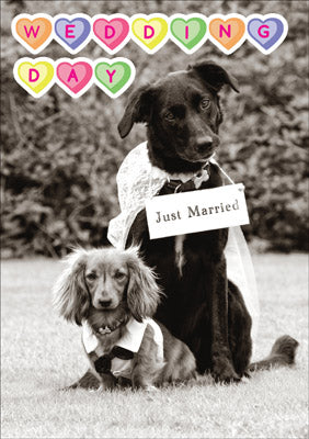 57AP10 - Wedding Day (Dogs) Greeting Card