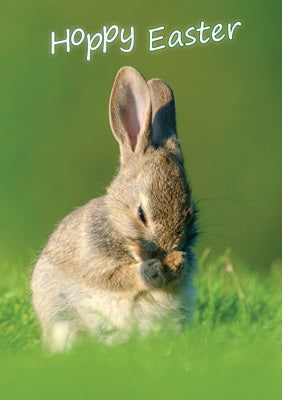 57AP34 - Hoppy Easter (Baby Rabbit) Easter Card