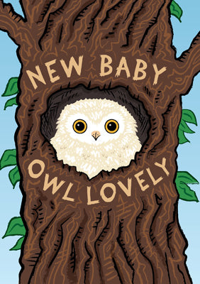 57AQ22 - Owl Lovely New Baby Card