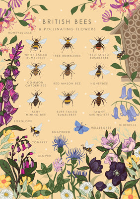 57AS103 - British Bees Nature Guide Greeting Card