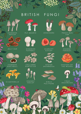 57AS105 - British Mushrooms Nature Guide Greeting Card