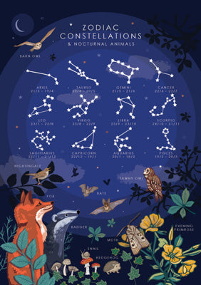 57AS114 - Zodiac Constellations and Nocturnal Animals Greeting Card