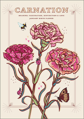 57AS115 - Carnation (January Birth Flower) Greeting Card