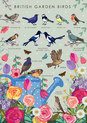 57AS57 - British Garden Birds Nature Guide Greeting Card