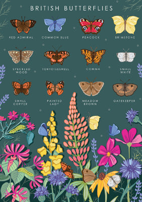 57AS61 - British Butterflies Nature Guide Greeting Card