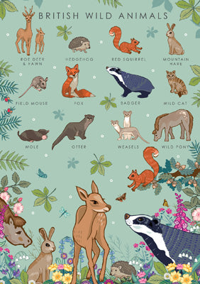 57AS64 - British Wild Animals Nature Guide Greeting Card