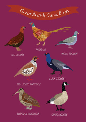 57BB10 - Great British Game Birds Greeting Card