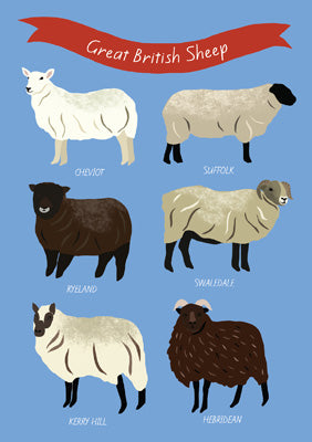 57BB21 - Great British Sheep Greeting Card