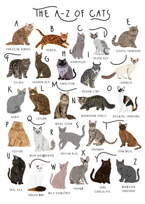 57BB53 - The A-Z of Cats Greeting Card