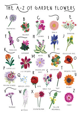 57BB61 - A-Z of Garden Flowers Greeting Card