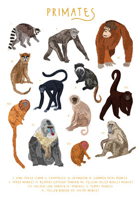 57BB89 - Primates Greeting Card