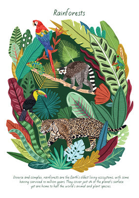 57BB95 - Rainforests Habitats Card