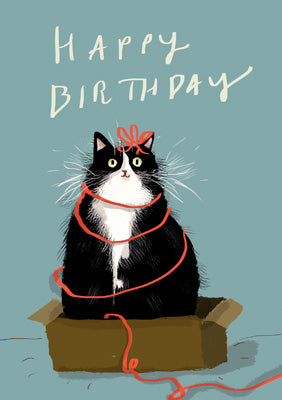 57DC01 - Happy Birthday Black Cat Card