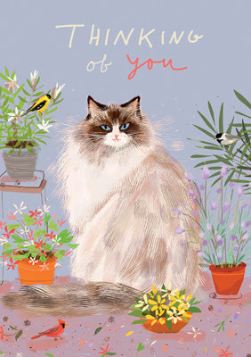 57DC06 - Thinking of You Cat Card