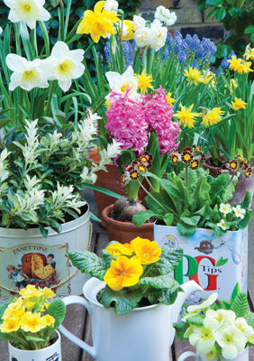 57DG86 - Flower Pots Birthday Card (Welsh)