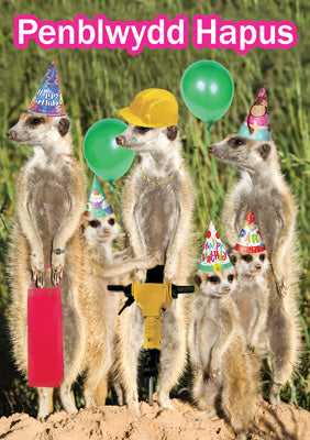 57DG87 - Party Meerkats Birthday Card (Welsh)