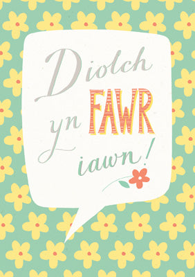 57DG97 - Thank You Very Much Greeting Card (Welsh)
