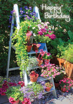 57FP41 - Flowers on Ladder Birthday Card (Message Inside)