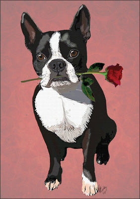 57LL02 - Boston Terrier with Rose Greeting Card