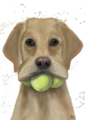 57LL09 - Labrador with Tennis Balls Greeting Card