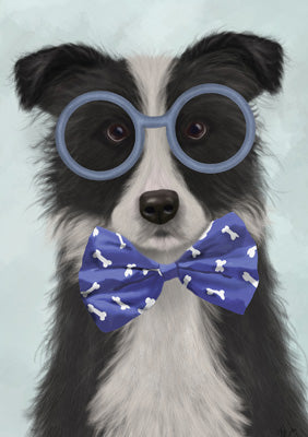 57LL12 - Bespectacled Border Collie Greeting Card