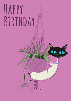 57MW07 - Cat and Spider Plant Birthday Card