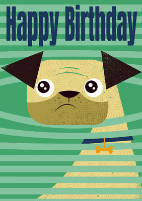 57MW11 - Happy Birthday (Pug) Greeting Card
