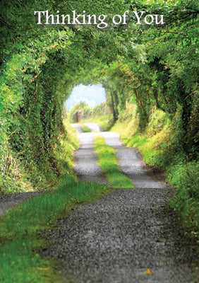 57PT10 - Thinking of You (Tree Tunnel) Greeting Card