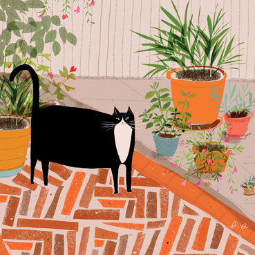 DCT105 - Patio Cat Greeting Card