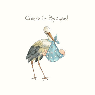 DGS109 - New Baby Boy Stork Greeting Card (Welsh)