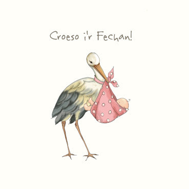 DGS110 - New Baby Girl Stork Greeting Card (Welsh)