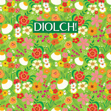 DGS117 - Diolch! Thank You Greeting Card (Welsh)