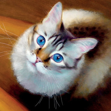 DLT115 - Bengal Cat Art Card