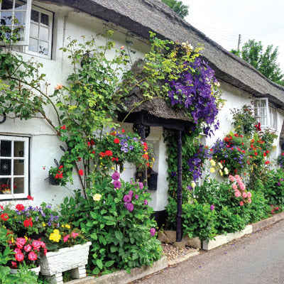 L203 - Branscombe Cottages Greeting Card