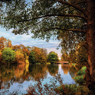 L388 - Autumn River at Hatfield House Greeting Card