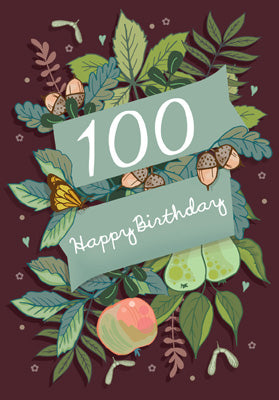 LB308 - 100th Birthday Large Greeting Card