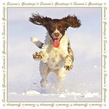 LXM121 (Pack) - Spaniel in the Snow (5 Cards)