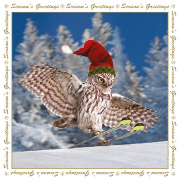 XMS107  - The Skiing Owl Christmas Card
